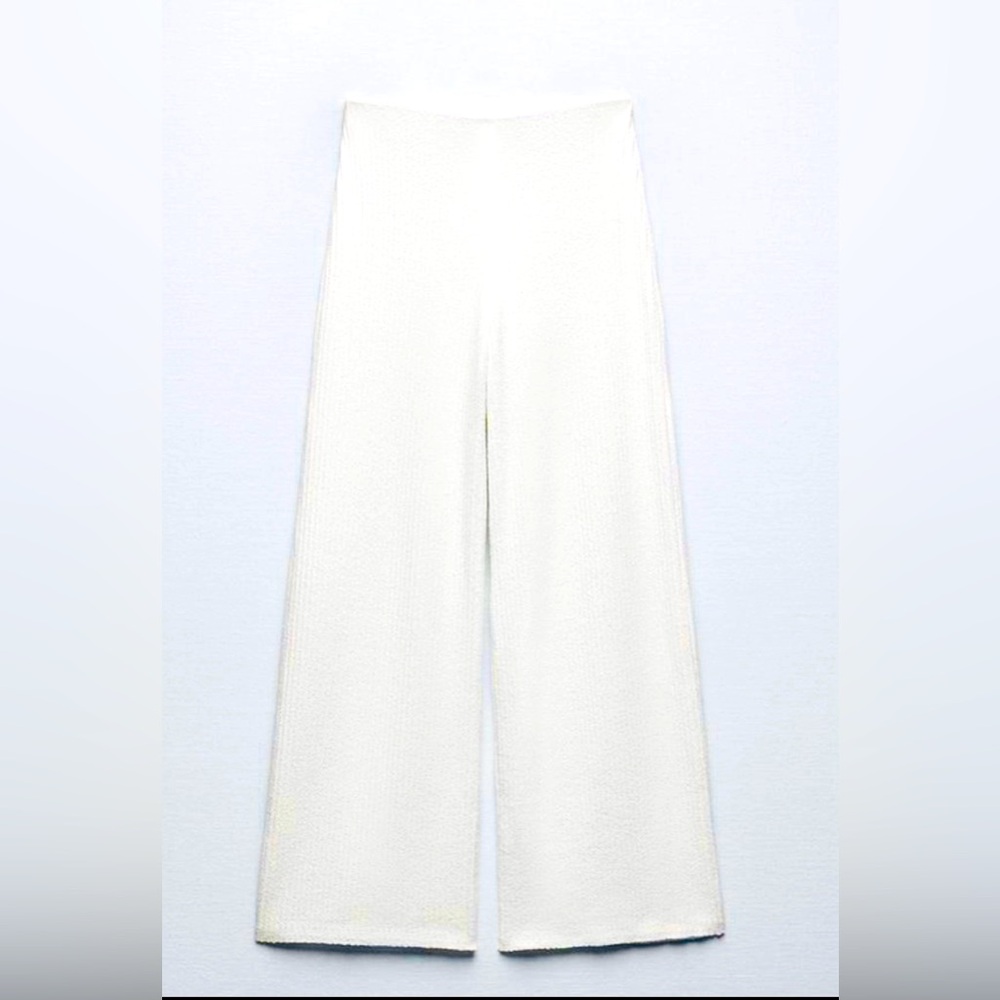 Zara textured wide leg pant pull on elastic waist size large NWT.